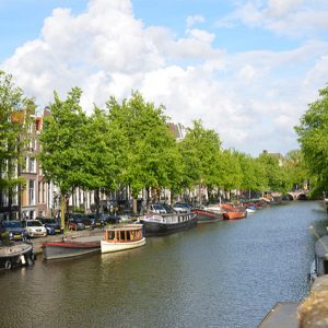 Should buy-to-let investors ‘go Dutch’?