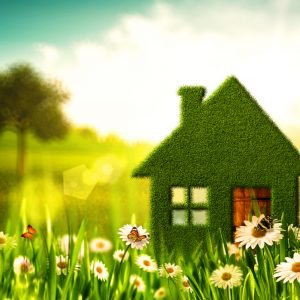 Landlords making properties greener ahead of energy-efficiency rules