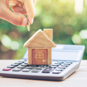 Annual house prices report largest fall since 2011