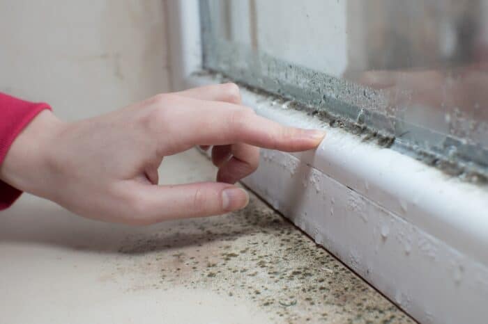 Top tips to beat mould, damp and mildew in your home